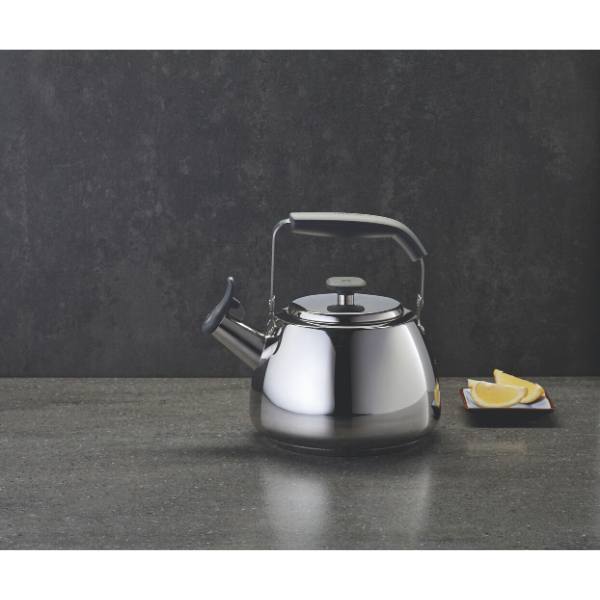 Polished Stainless Steel Stovetop Kettle 