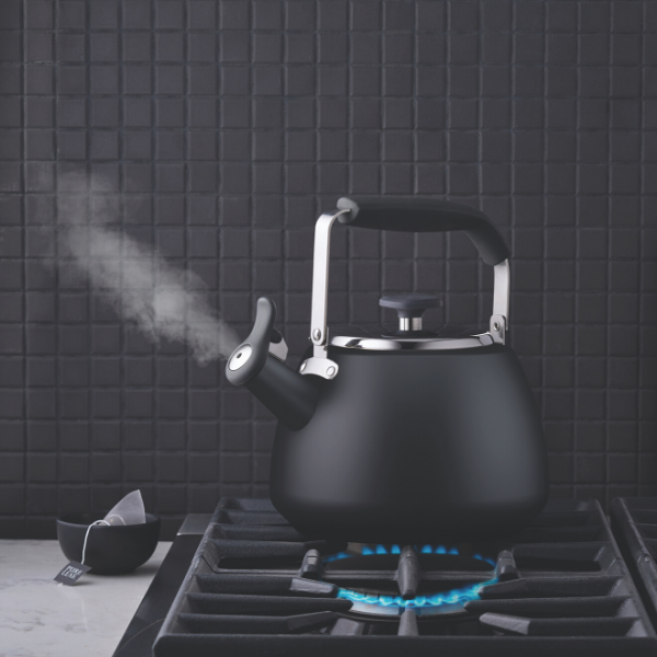 Stormy Black Stainless Steel Stovetop Kettle 